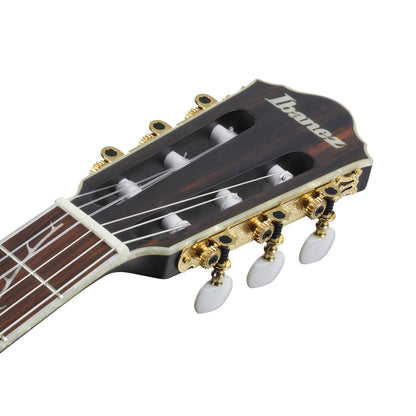 Ibanez TOD10NL-TKF - Left-Hand Classical Guitar | Transparent Black Flat