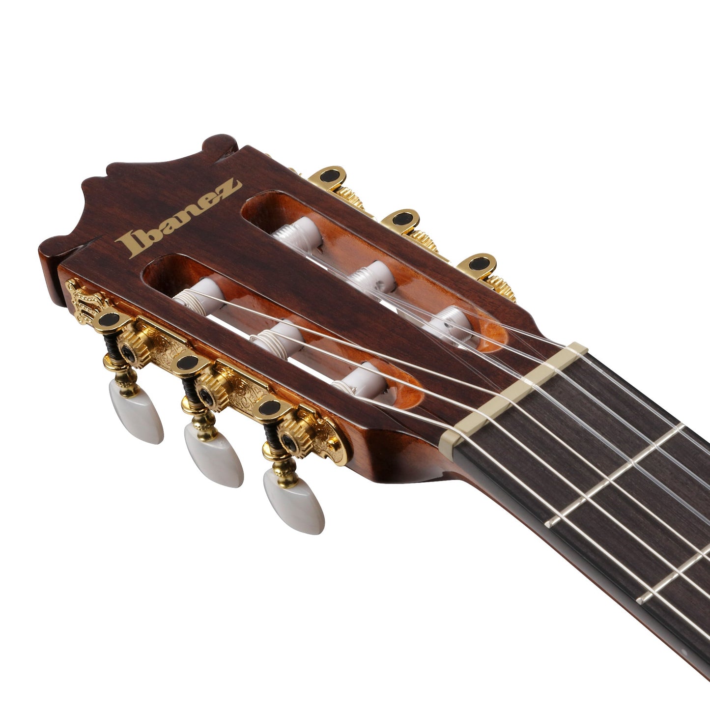 Ibanez GA6CE-AM GA Series Cutaway Classical Acoustic Electric Guitar | Spruce Top | Sapele Back & Sides | Purpleheart Fretboard | Amber High Gloss