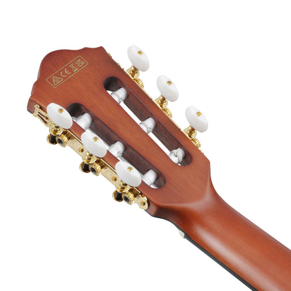 Ibanez FRH10N-NTF - Nylon Acoustic Electric Guitar | Natural Flat