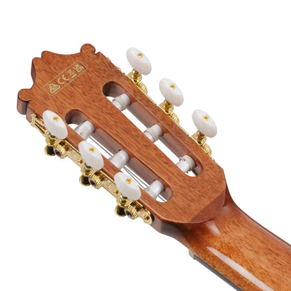 Ibanez GA6CE-AM GA Series Cutaway Classical Acoustic Electric Guitar | Spruce Top | Sapele Back & Sides | Purpleheart Fretboard | Amber High Gloss