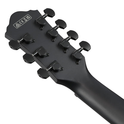 Ibanez AEG721-BOT - 7-String Acoustic Electric Guitar | Black Out