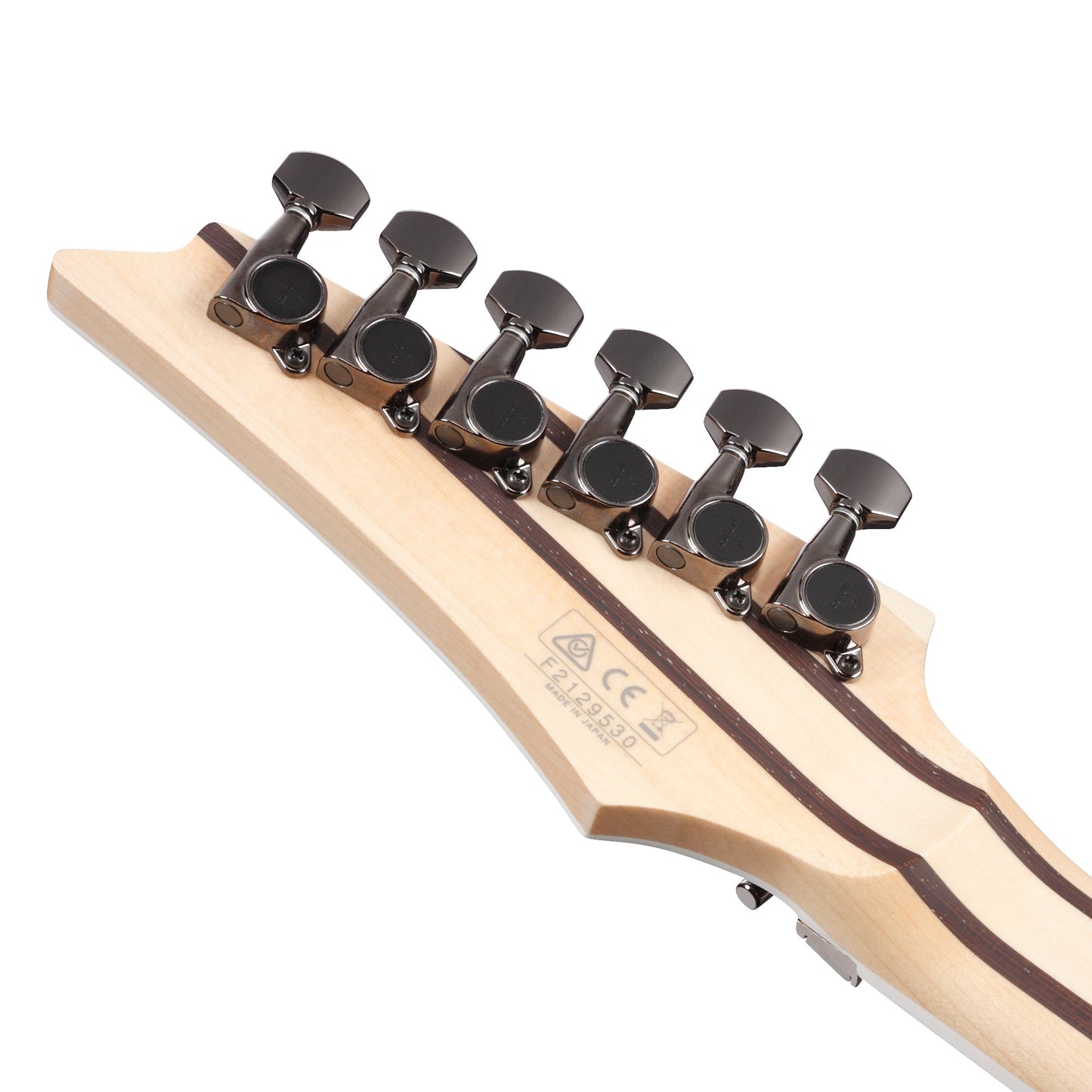 Ibanez RG5120M-PRT Prestige Electric Guitar | Polar Lights