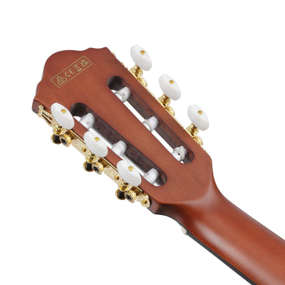 Ibanez FRH10N-IBF - Nylon Acoustic Electric Guitar | Indigo Blue Metallic Flat